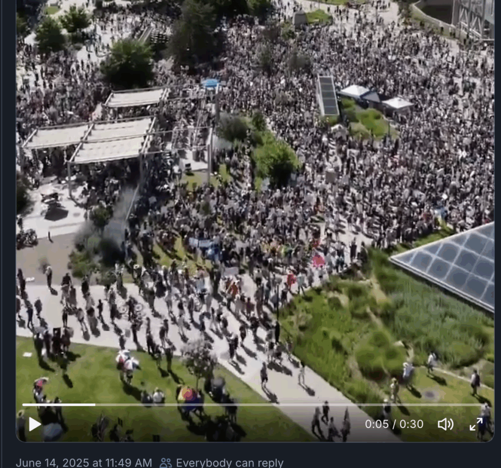 aerial view of a moderately large crowd
